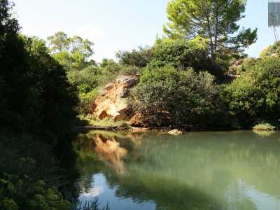 ...venendo sommersi dalla fitta e selvaggia natura che si riflette nell�acqua placida e trasparente